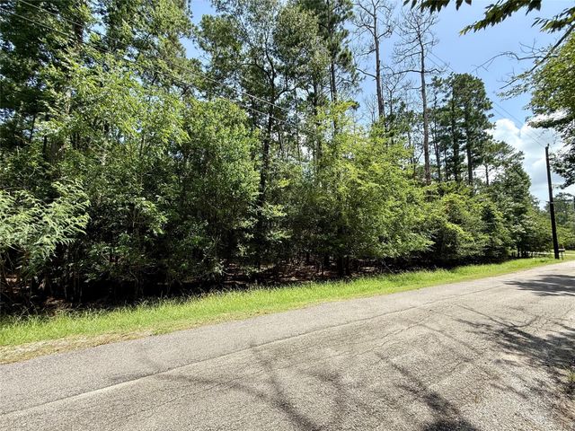 155 W Lake Drive, Houston, TX 77336