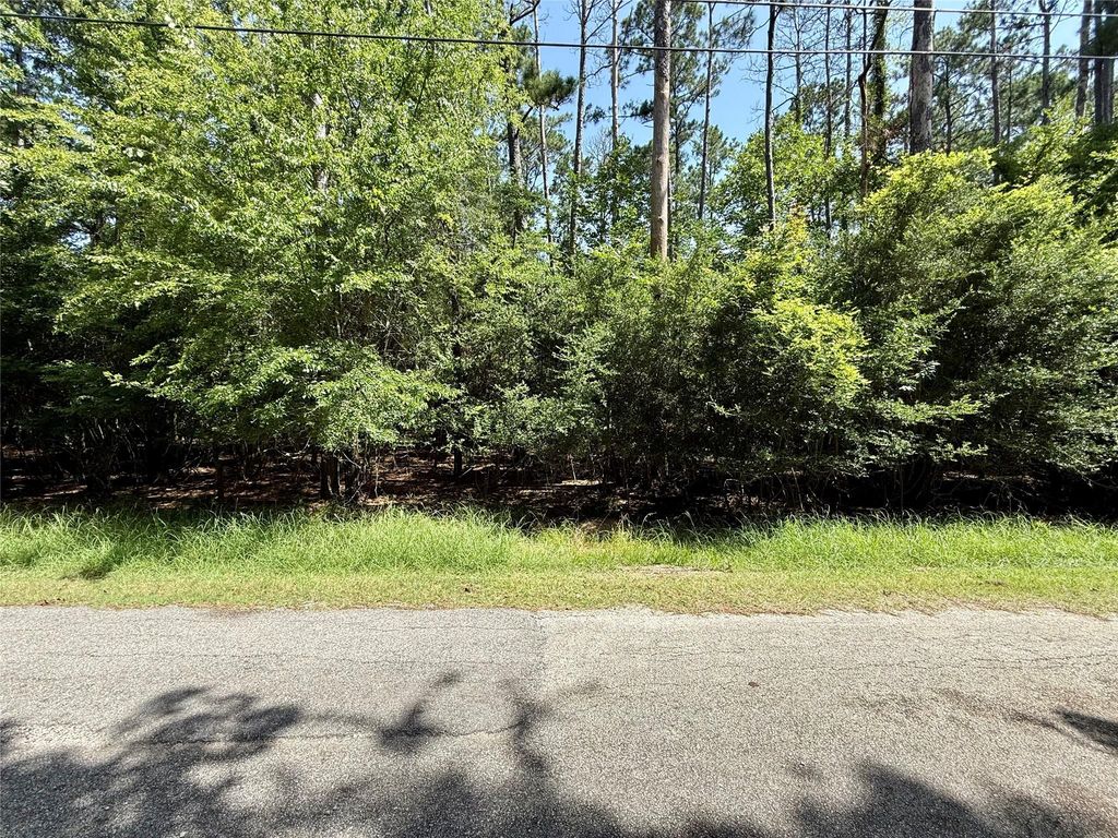 155 W Lake Drive, Houston, TX 77336