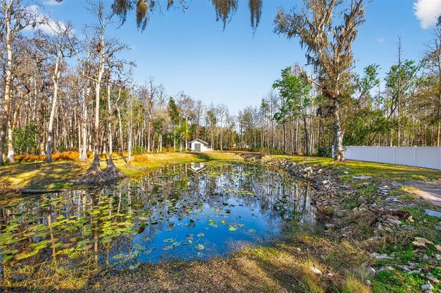 1120 COUNTRY LANE, Lutz, FL 33558
