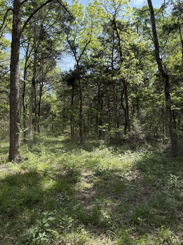 0 Millersburg Road, Christiana, TN 37037