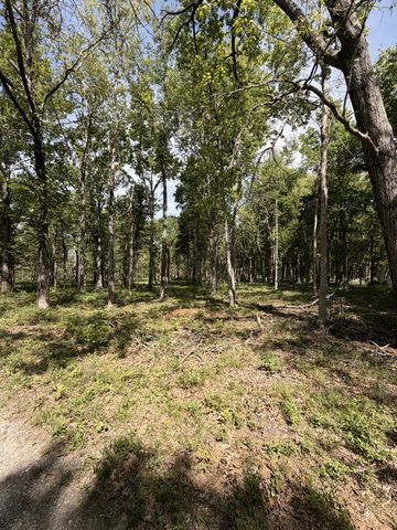 0 Millersburg Road, Christiana, TN 37037