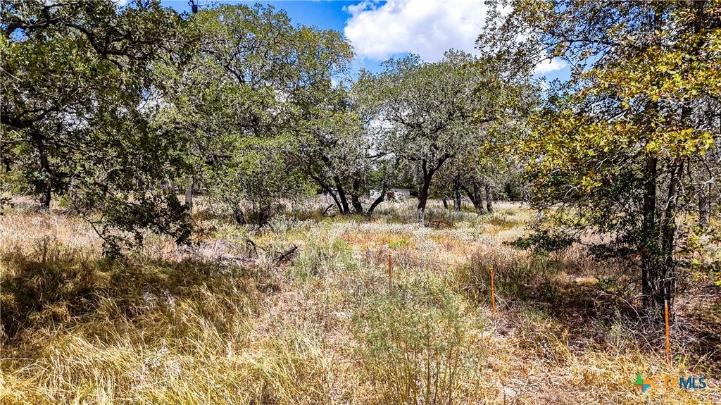 141 Oak Hill Road, La Vernia, TX 78121