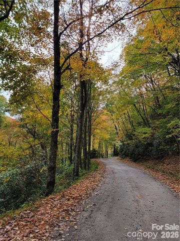 24 Tater Patch Road, Maggie Valley, NC 28751