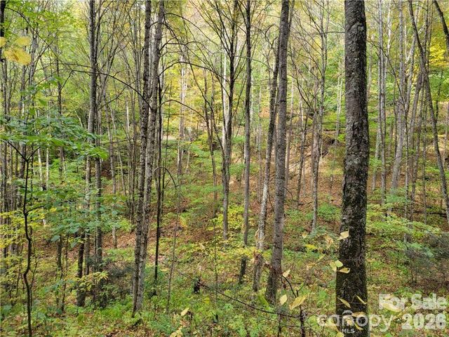 24 Tater Patch Road, Maggie Valley, NC 28751