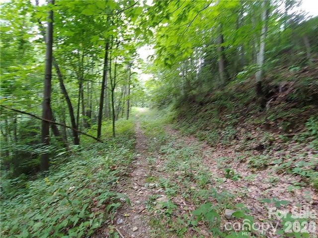 24 Tater Patch Road, Maggie Valley, NC 28751