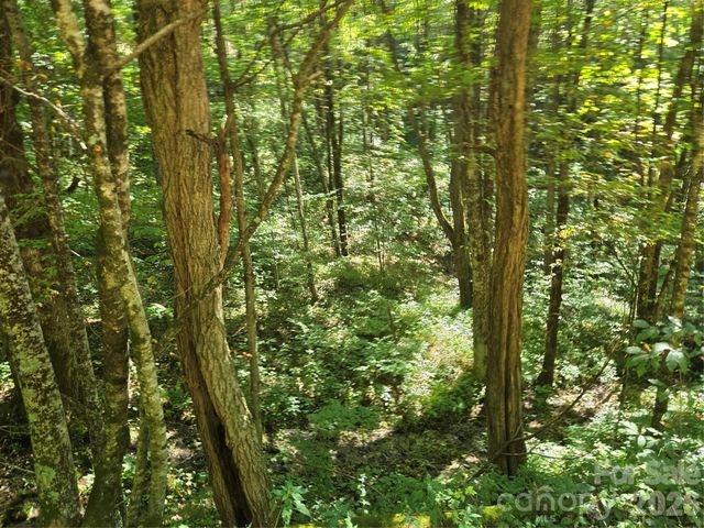 24 Tater Patch Road, Maggie Valley, NC 28751