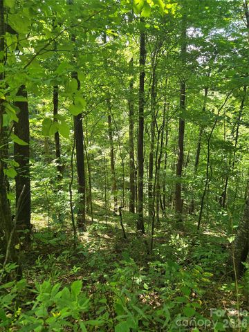 24 Tater Patch Road, Maggie Valley, NC 28751