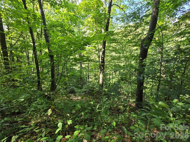 24 Tater Patch Road, Maggie Valley, NC 28751