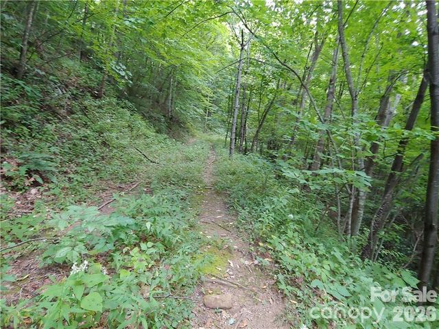 24 Tater Patch Road, Maggie Valley, NC 28751