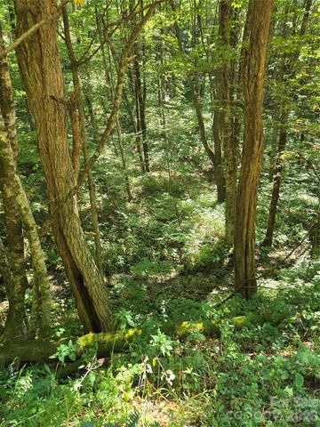 24 Tater Patch Road, Maggie Valley, NC 28751