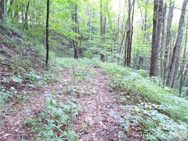24 Tater Patch Road, Maggie Valley, NC 28751