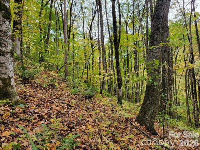 24 Tater Patch Road, Maggie Valley, NC 28751