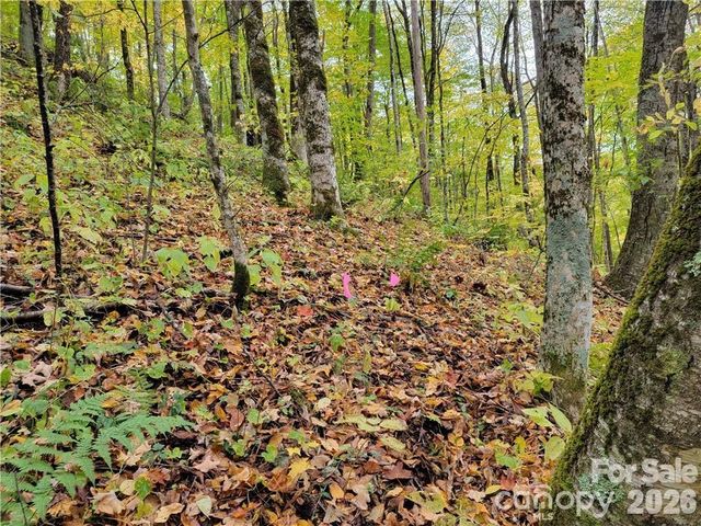 24 Tater Patch Road, Maggie Valley, NC 28751