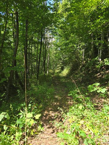 24 Tater Patch Road, Maggie Valley, NC 28751