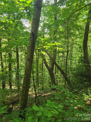 24 Tater Patch Road, Maggie Valley, NC 28751
