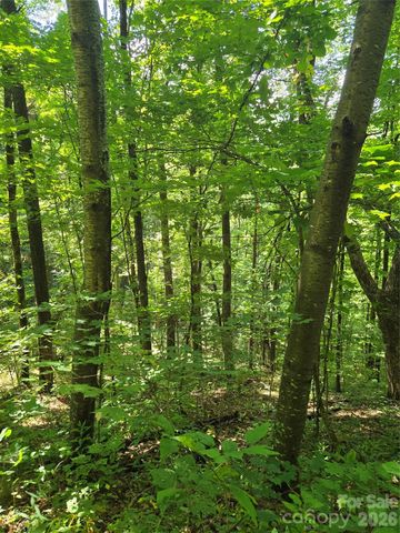 24 Tater Patch Road, Maggie Valley, NC 28751