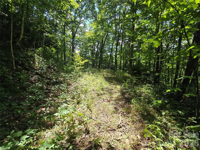 24 Tater Patch Road, Maggie Valley, NC 28751