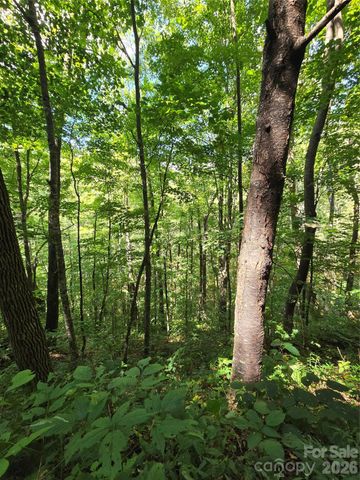 24 Tater Patch Road, Maggie Valley, NC 28751