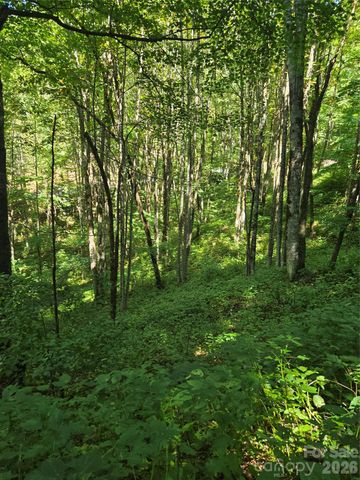 24 Tater Patch Road, Maggie Valley, NC 28751