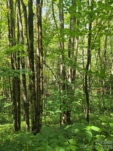 24 Tater Patch Road, Maggie Valley, NC 28751
