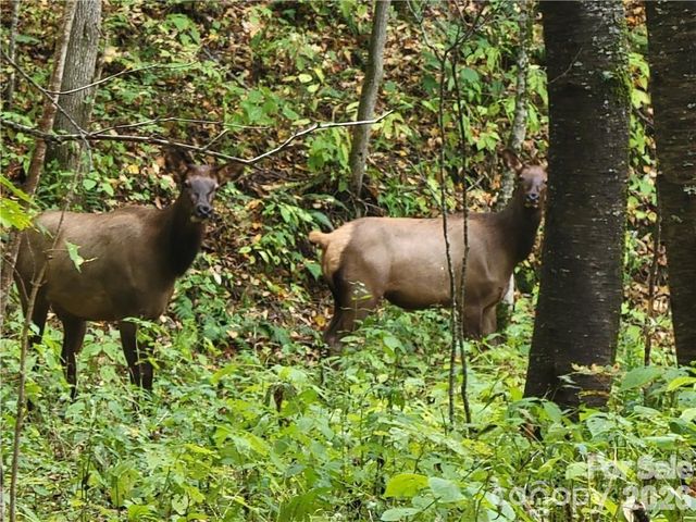 24 Tater Patch Road, Maggie Valley, NC 28751