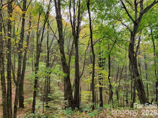 24 Tater Patch Road, Maggie Valley, NC 28751