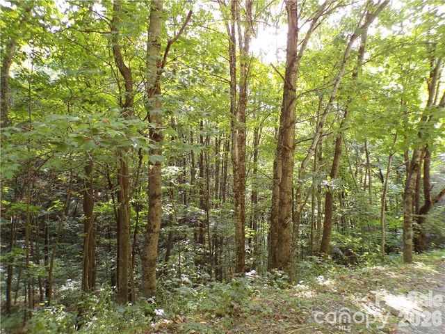 24 Tater Patch Road, Maggie Valley, NC 28751