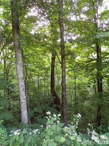 24 Tater Patch Road, Maggie Valley, NC 28751