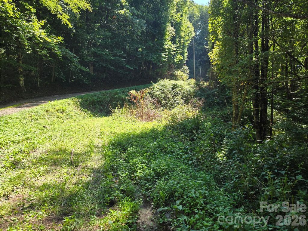 24 Tater Patch Road, Maggie Valley, NC 28751