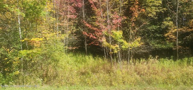 128 Brittany Hill Road, Jewett, NY 12444