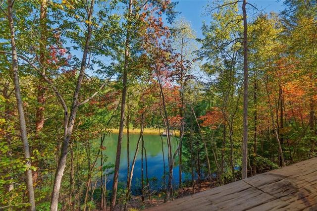 85 Moreland Trail, Cherry Log, GA 30522