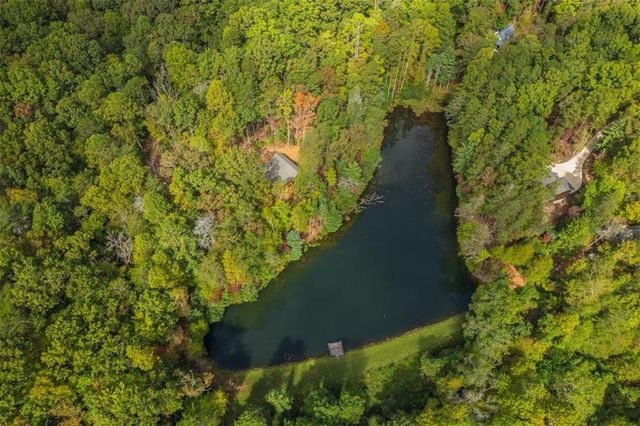 85 Moreland Trail, Cherry Log, GA 30522