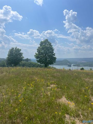 Lot 71 County Road 767, Cedar Bluff, AL 35959