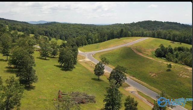Lot 71 County Road 767, Cedar Bluff, AL 35959