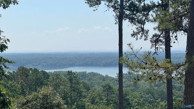 Lot 71 County Road 767, Cedar Bluff, AL 35959