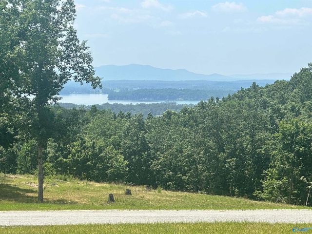 Lot 71 County Road 767, Cedar Bluff, AL 35959