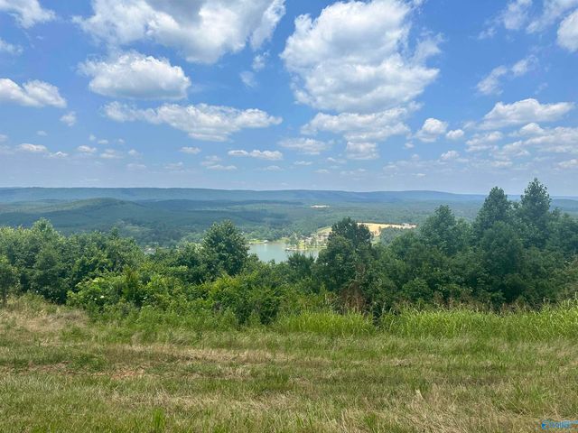 Lot 71 County Road 767, Cedar Bluff, AL 35959