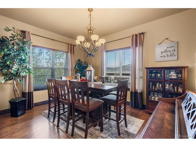 208 Green Rock Pl, Monument, CO 80132