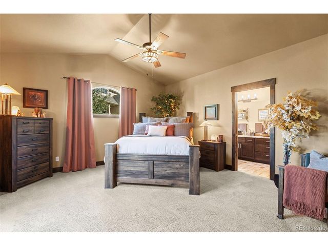 208 Green Rock Pl, Monument, CO 80132