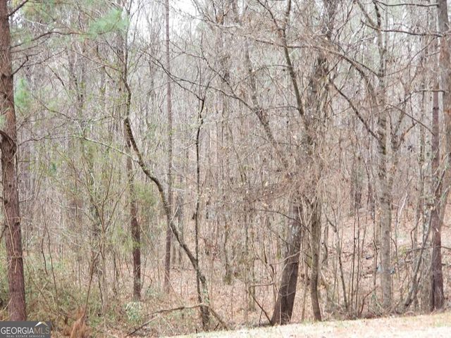 3310 & 3308 Bold Spring Drive SW, Stockbridge, GA 30281