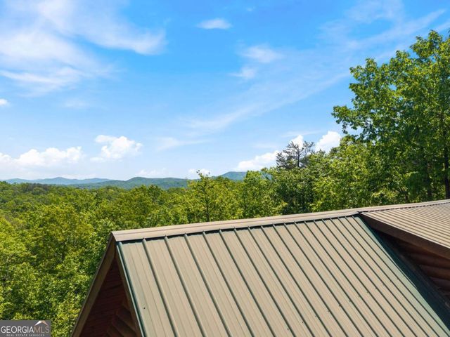 161 Huntington Way 8, Blue Ridge, GA 30513
