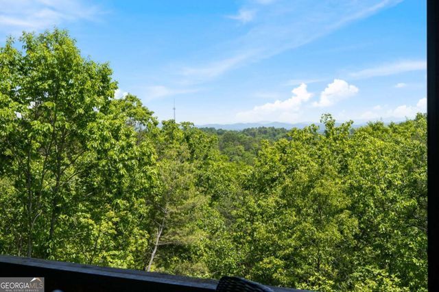161 Huntington Way 8, Blue Ridge, GA 30513
