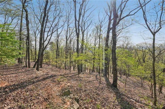 1041 Cox Mountain Drive, Big Canoe, GA 30143