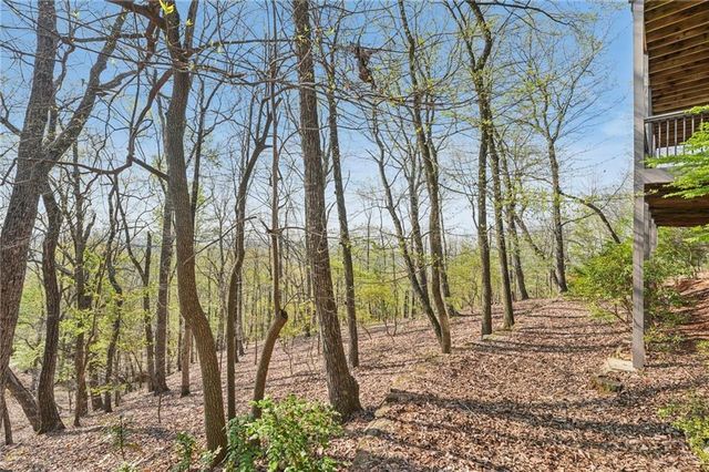 1041 Cox Mountain Drive, Big Canoe, GA 30143