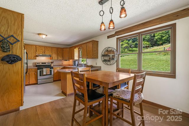 799 Fire Scald Road, Green Mountain, NC 28740