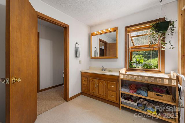 799 Fire Scald Road, Green Mountain, NC 28740