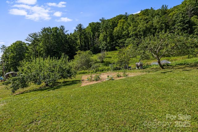 799 Fire Scald Road, Green Mountain, NC 28740