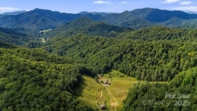 799 Fire Scald Road, Green Mountain, NC 28740