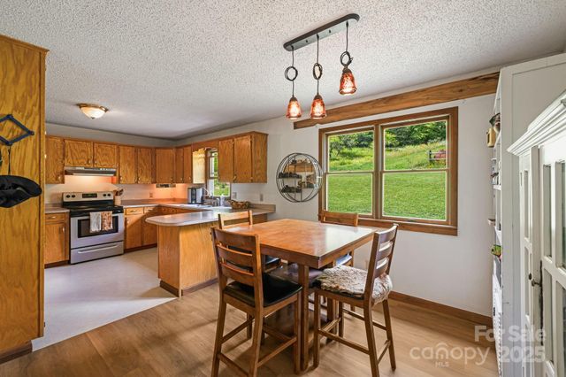 799 Fire Scald Road, Green Mountain, NC 28740