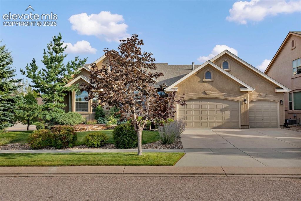 9043 Stony Creek Drive, Colorado Springs, CO 80924 — photo 3
